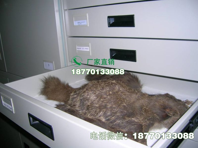 齐齐哈尔动物标本密集柜